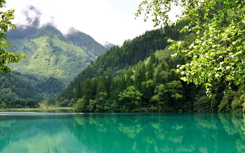 先进先进智能化